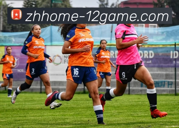 壹贰博官网品牌故事